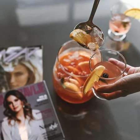 Garni Barut 4* Sabac